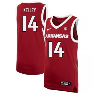 Men Ayden Kelley Cardinal Arkansas Razorbacks #14 College Basketball 2025 Jerseys 663414-484