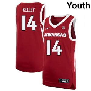 Youth Ayden Kelley Cardinal Arkansas Razorbacks #14 College Basketball Alumni Jerseys 138735-565