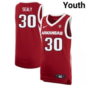 Youth Isaiah Sealy Cardinal Arkansas Razorbacks #30 College Basketball High School Jerseys 419406-819