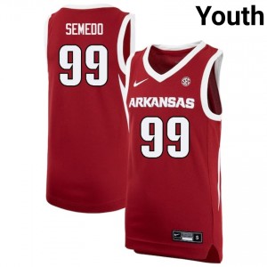 Youth Paulo Semedo Cardinal Arkansas Razorbacks #99 College Basketball Embroidery Jersey 720299-608